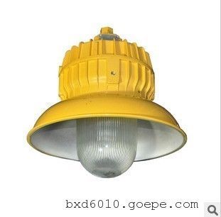 柳市GMD590 100W LED免維護防爆燈 防水防塵防腐的多功能泛光照明解決方案
